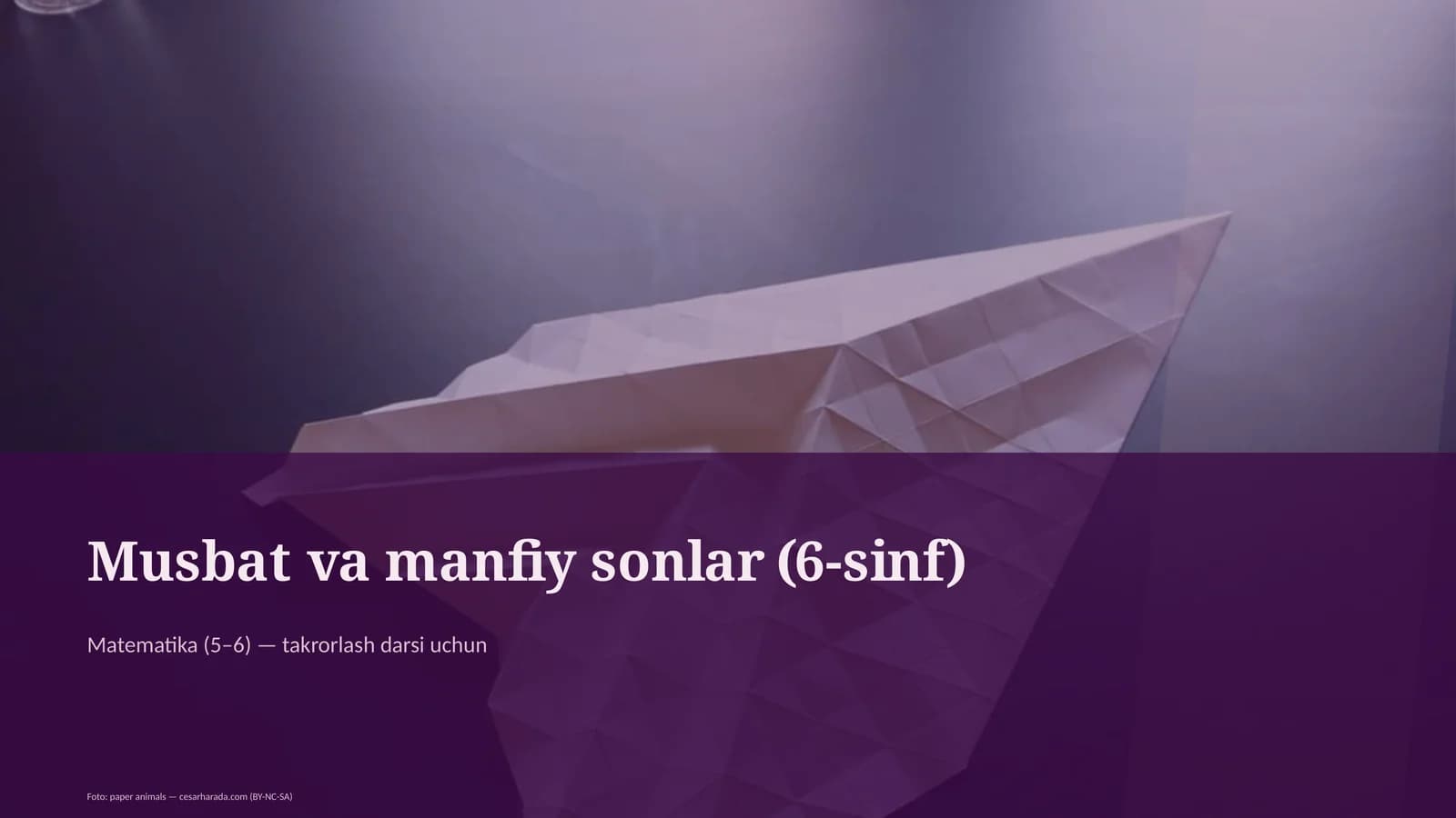 Musbat va manfiy sonlar (6-sinf)