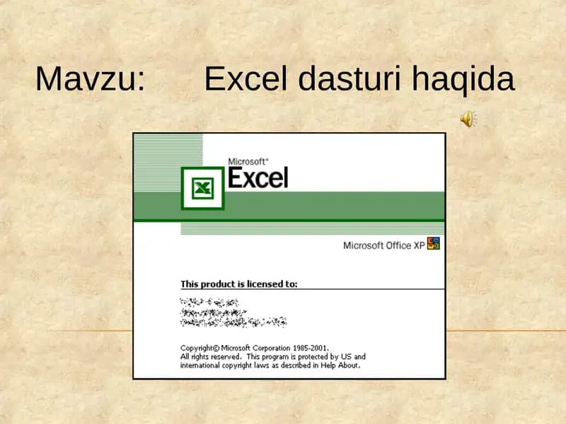 Excel dasturi