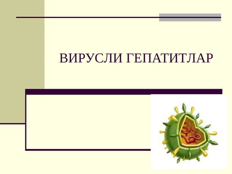 ВИРУСЛИГЕПАТИТЛАР