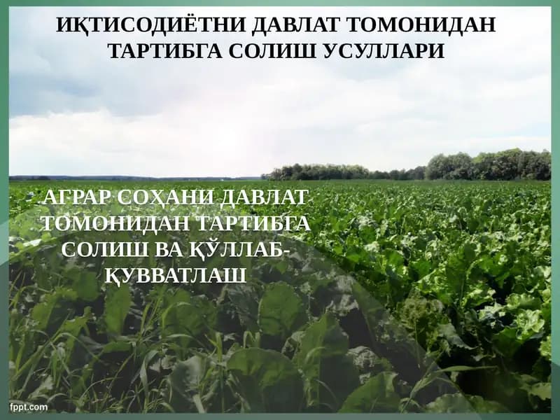 Agrar sohani davlat tomonidan tartibga solish va qo‘llab-quvvatlash