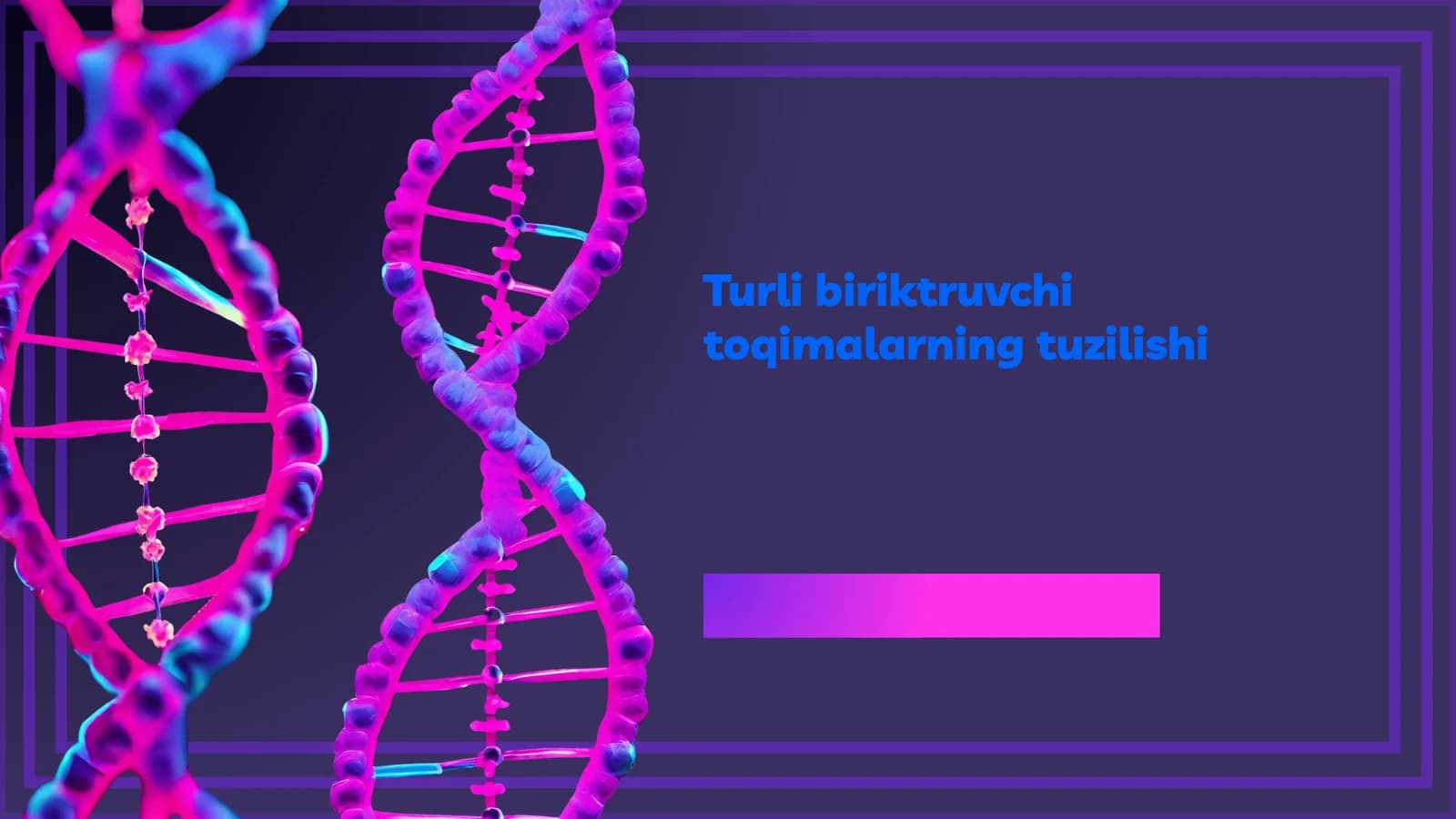 Birikuvchi Toqimalarning Tuzilishi