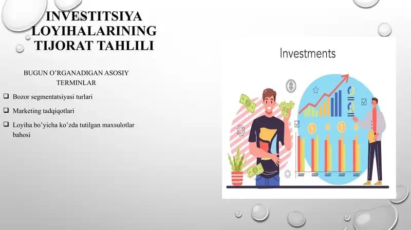 Investitsiya loyihalarining tijorat tahlili