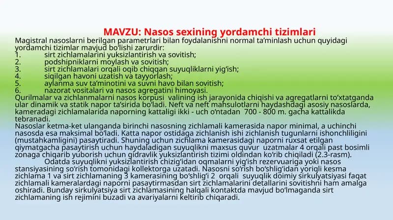 Nasos soksining yordamchisi zimlari