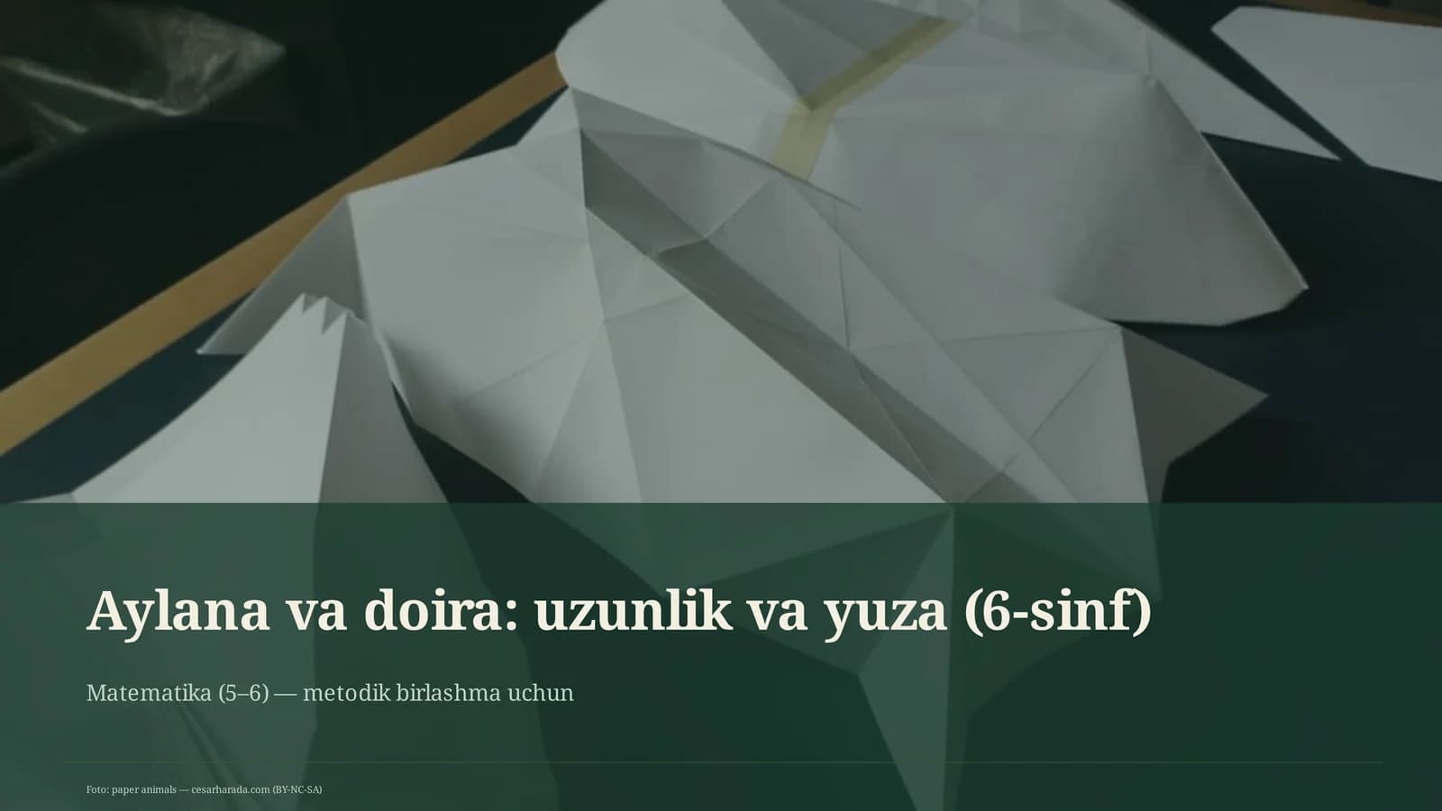 Aylana va doira: uzunlik va yuza (6-sinf)