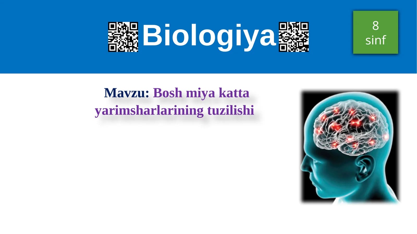 Boshmiya kattayarimsharlarining tuzilishi