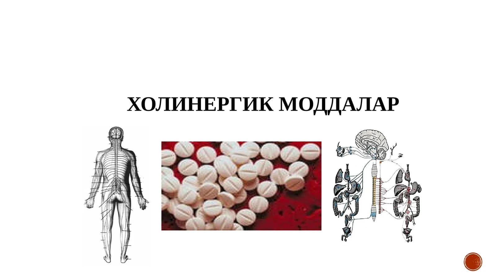 ХОЛИНЕРГИК МОДДАЛАР