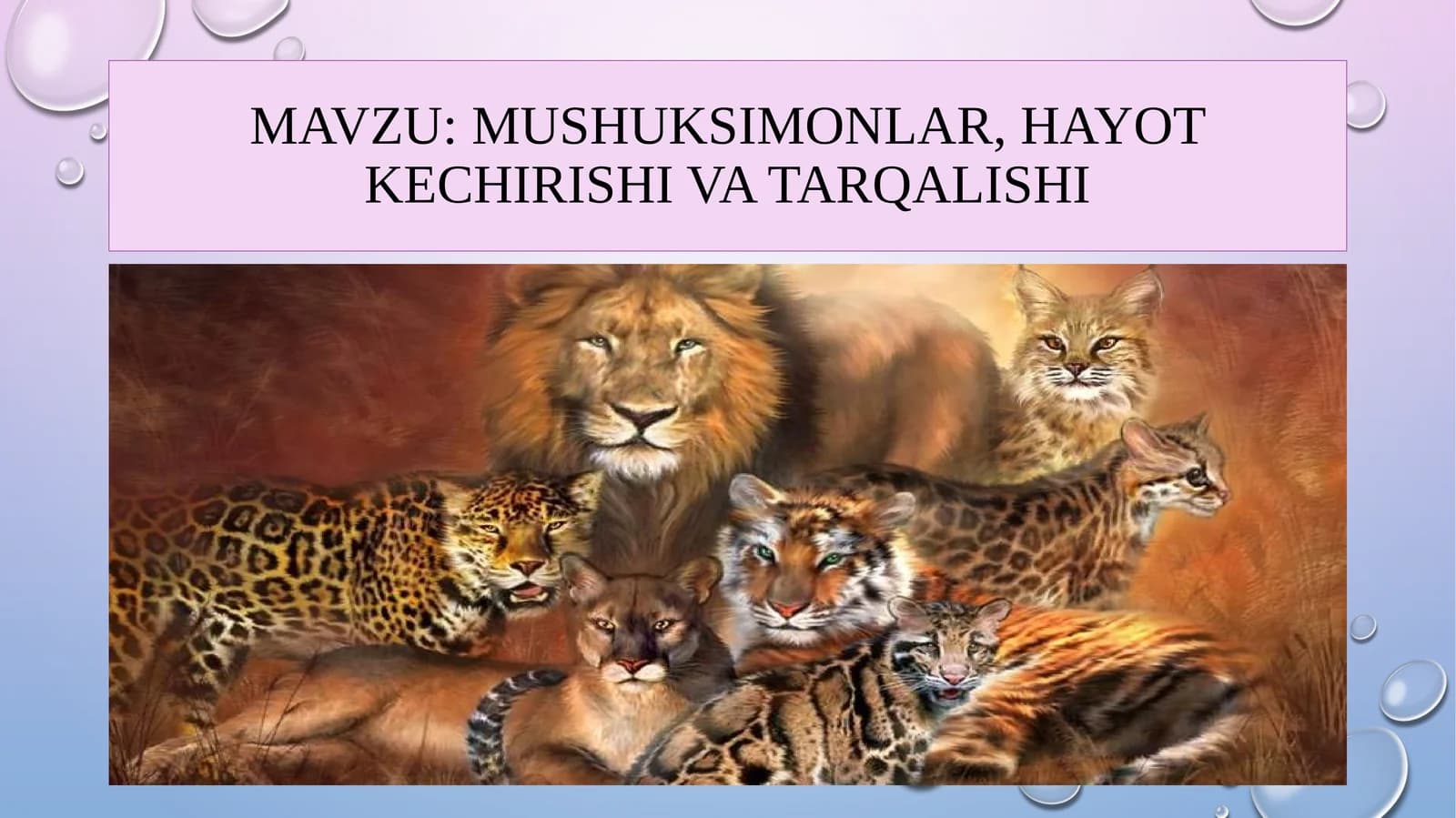 MUSHUKSIMONLAR, HAYOT KECHIRISHI VA TARQALISHI
