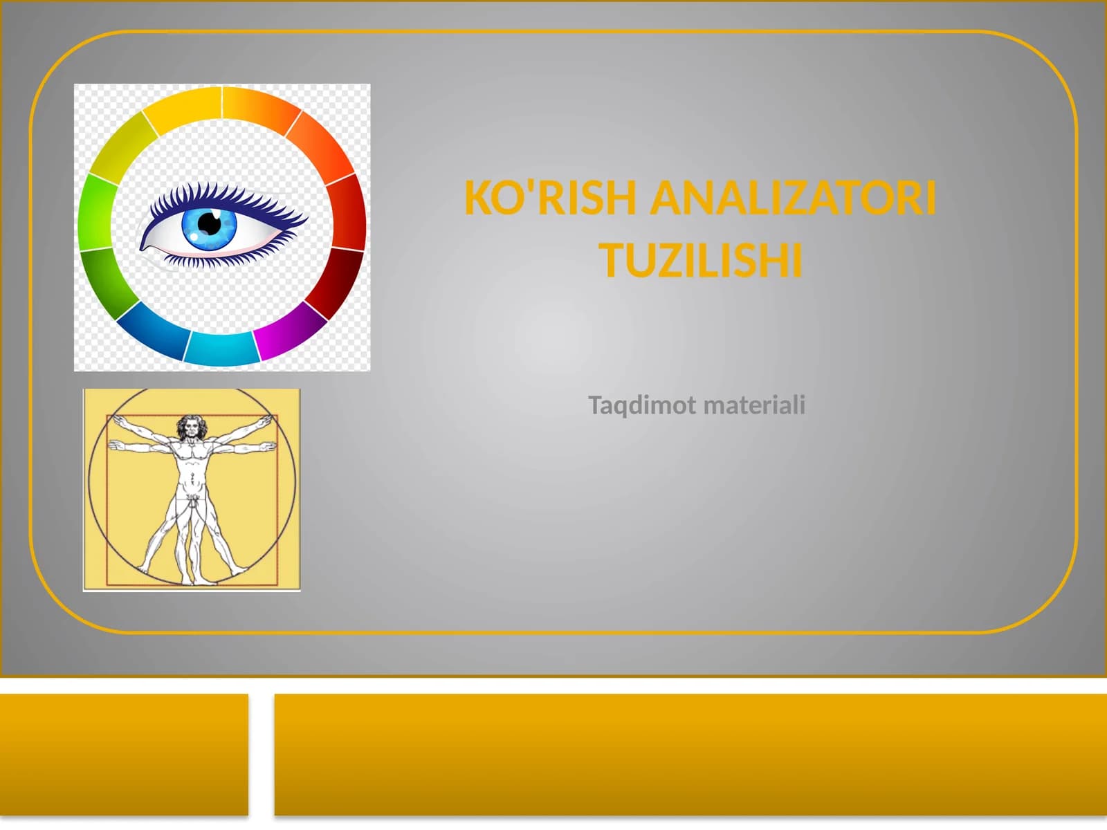 Ko'rish analizatori tuzilishi