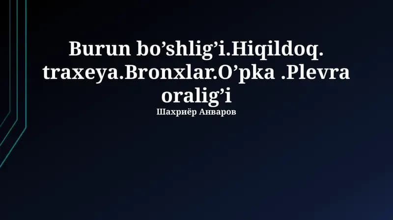 Bronxlarning funksiyalari