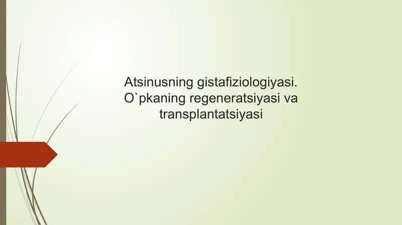 Atsinus. O'pka regeneratsiyasi