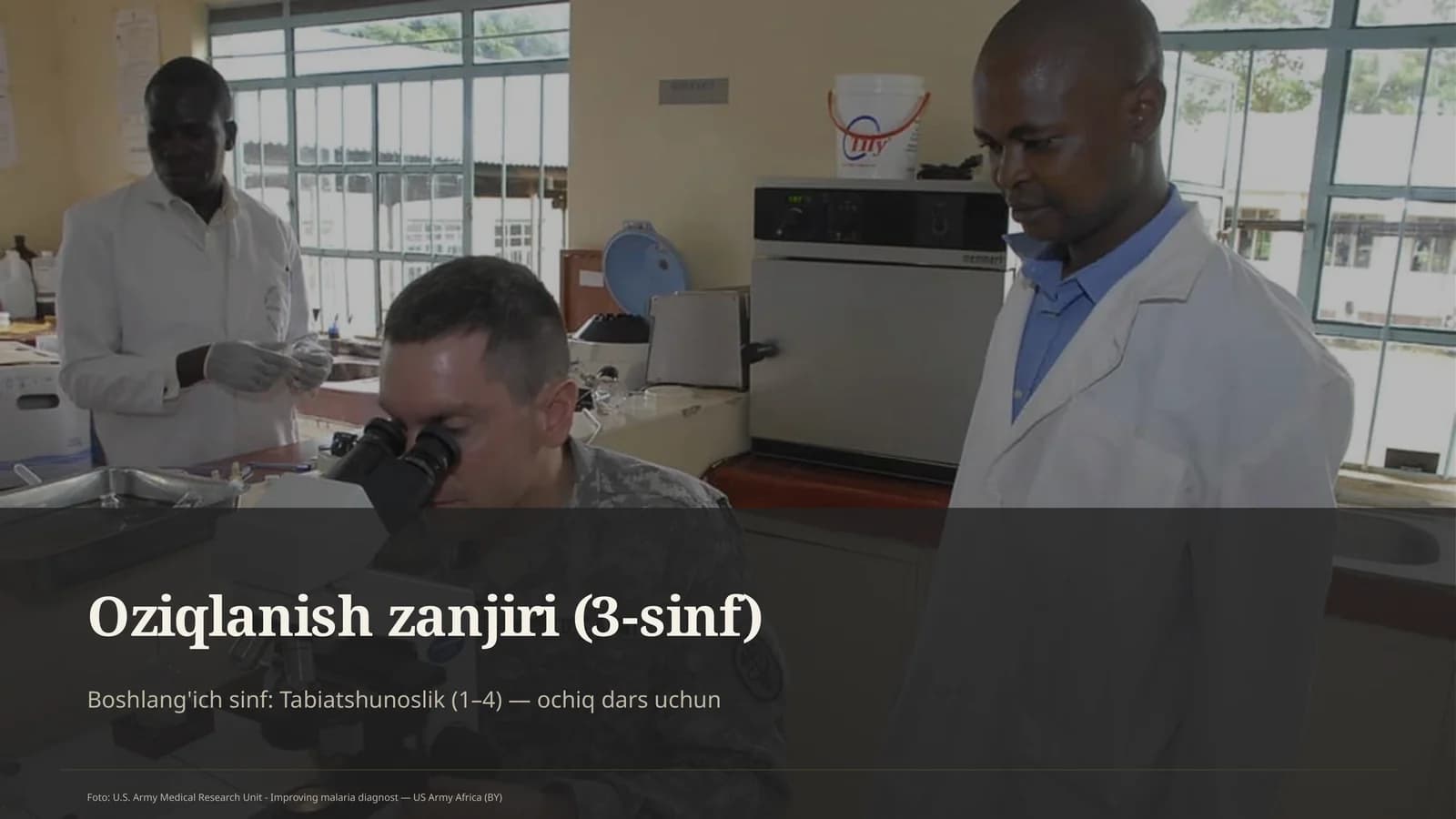 Oziqlanish zanjiri (3-sinf)