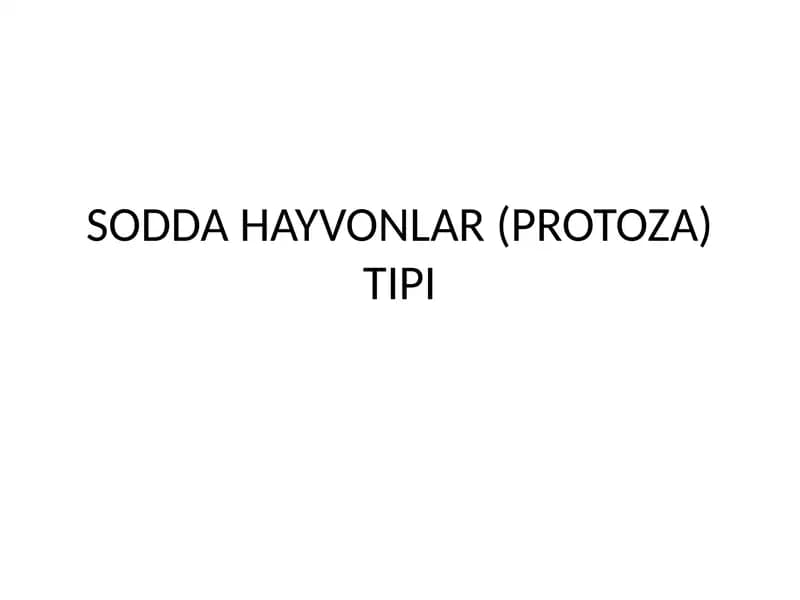 SODDA HAYVONLAR (PROTOZA) TIPI