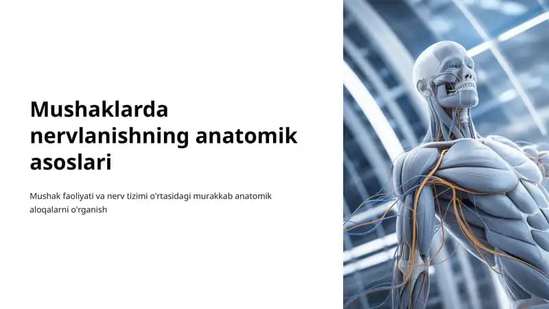 Mushaklarda nervlanishning anatomik asoslari