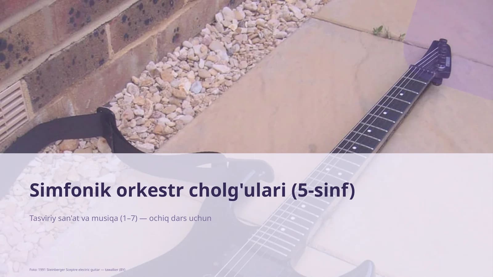 Simfonik orkestr cholg'ulari (5-sinf)