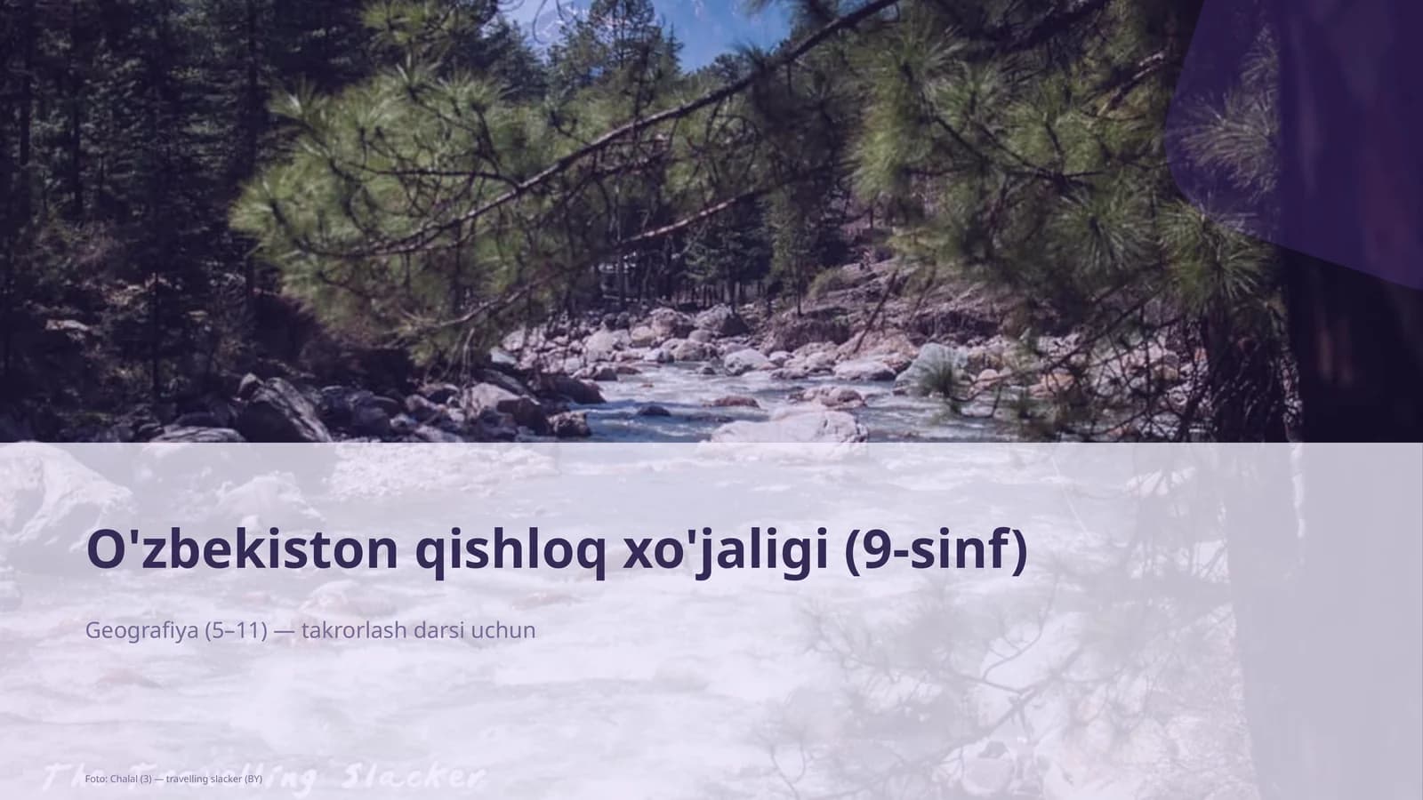 O'zbekiston qishloq xo'jaligi (9-sinf)