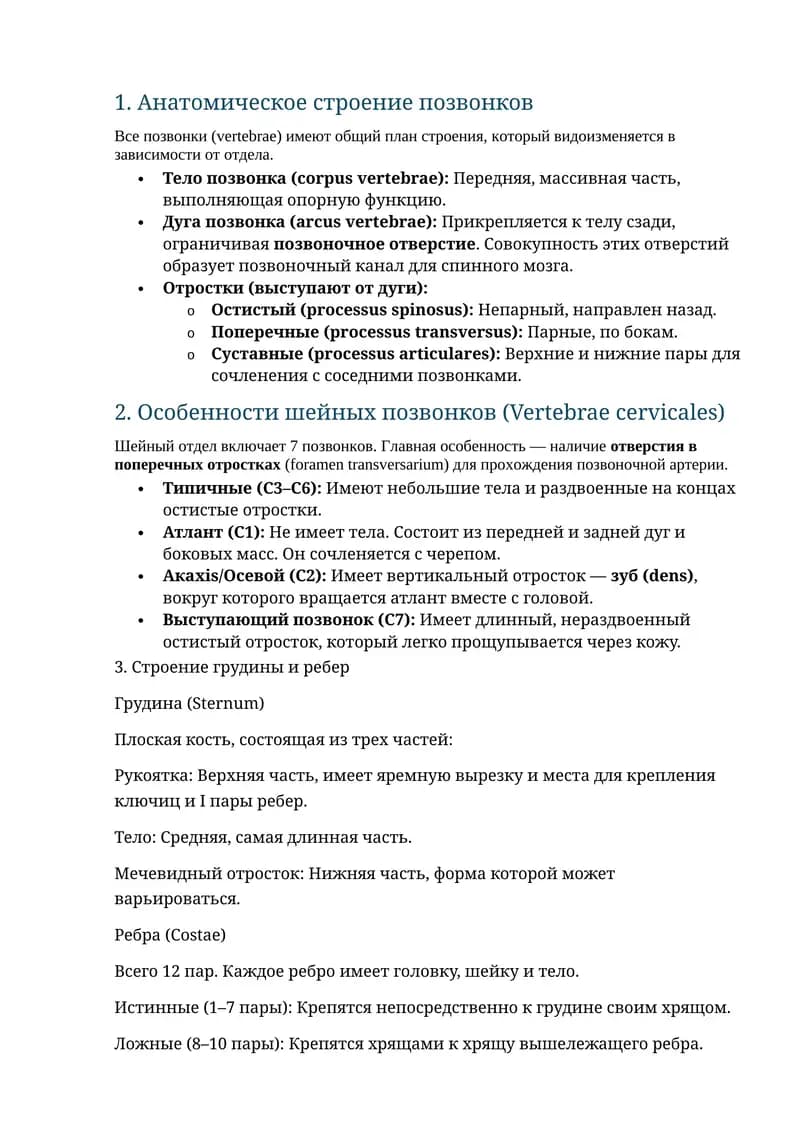 Анатомия остеология