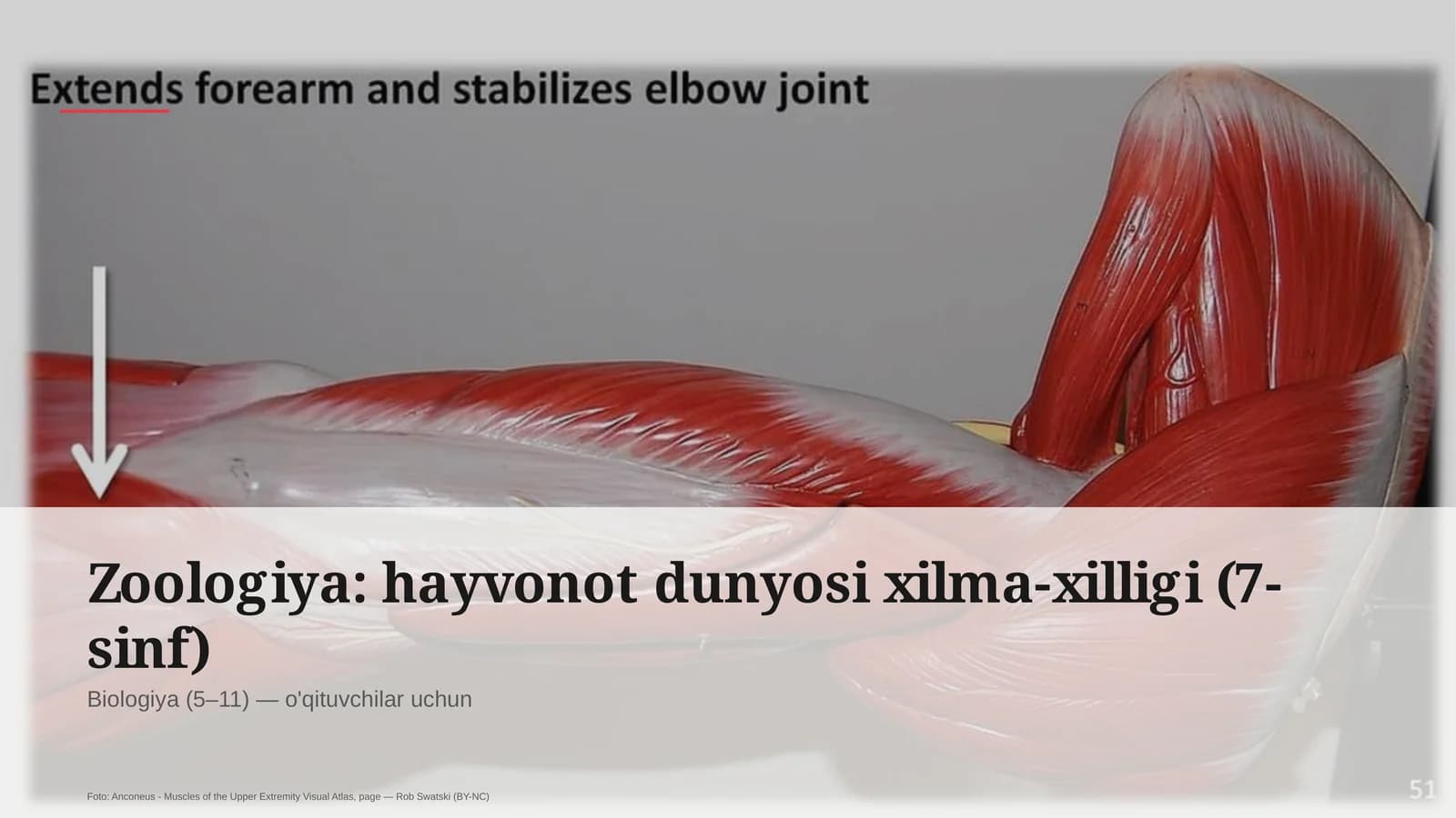 Zoologiya: hayvonot dunyosi xilma-xilligi (7-sinf)