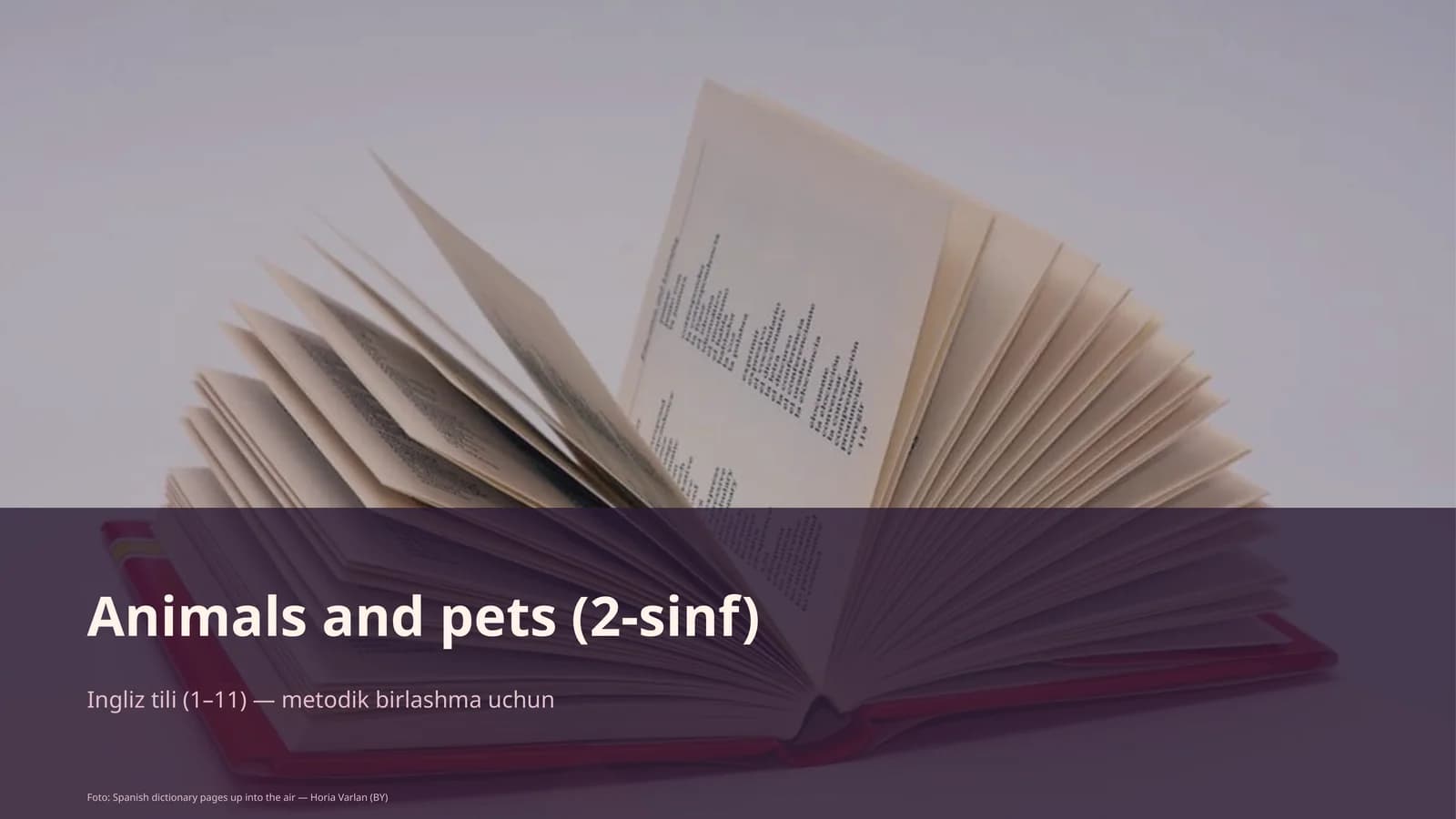 Animals and pets (2-sinf)