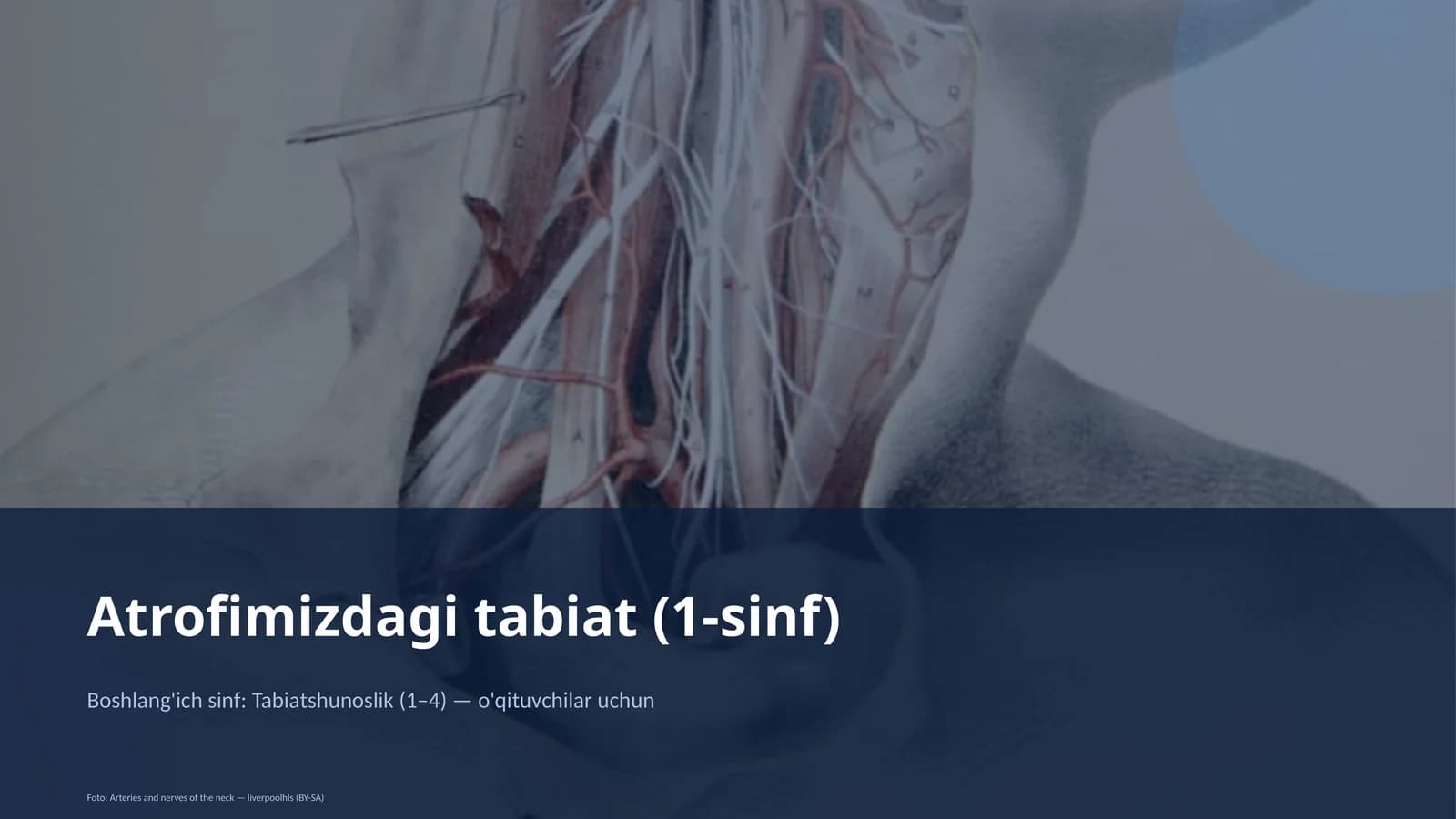Atrofimizdagi tabiat (1-sinf)