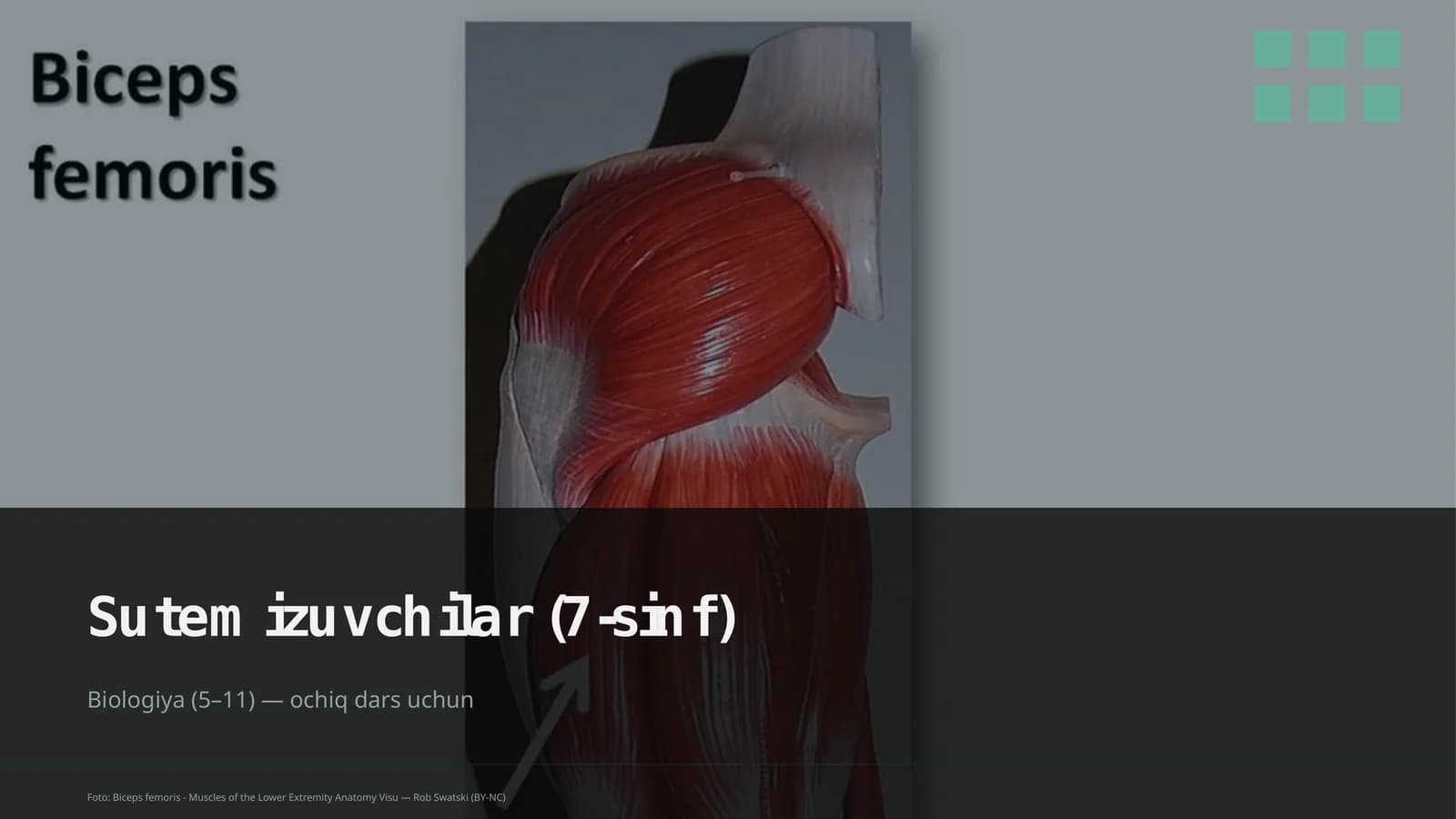 Biologiya (5–11) — ochiq dars uchun