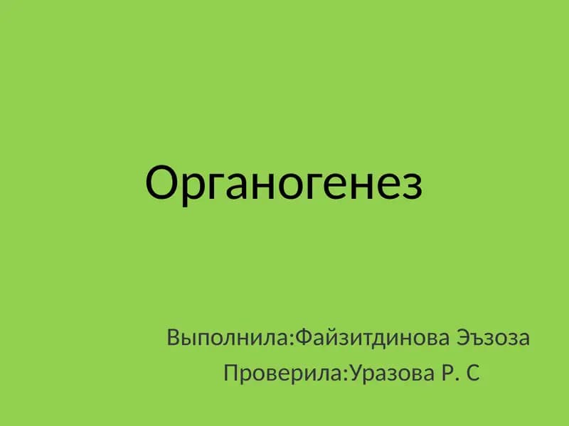 Органогенез