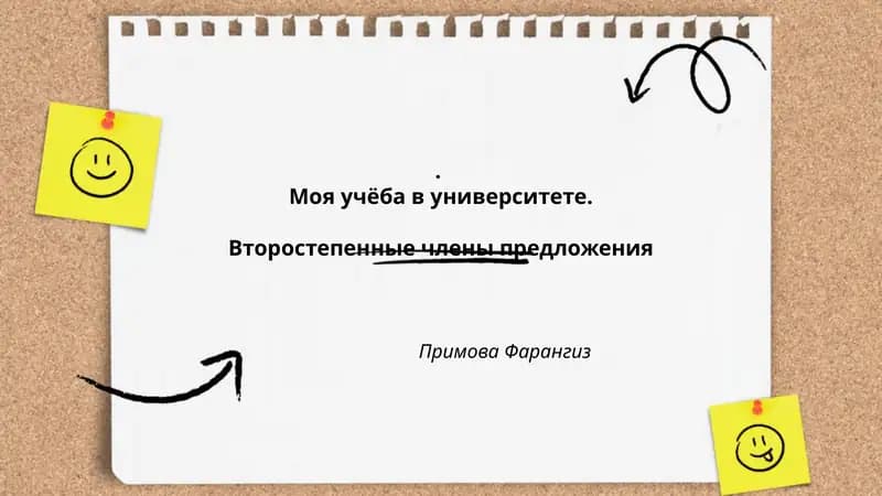 Моя учёба в университете. Второстепенные члены предложения