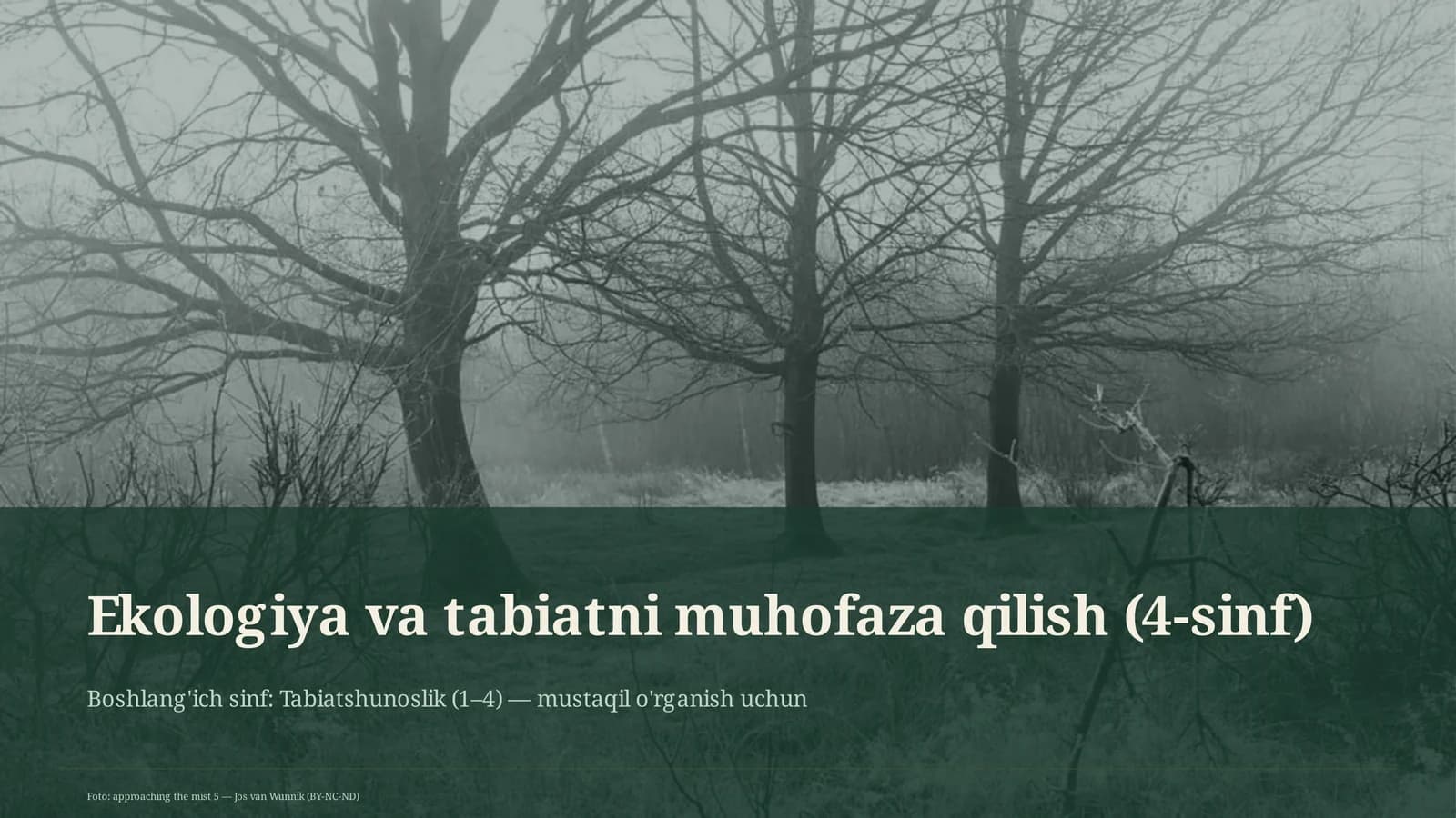Ekologiya va tabiatni muhofaza qilish (4-sinf)