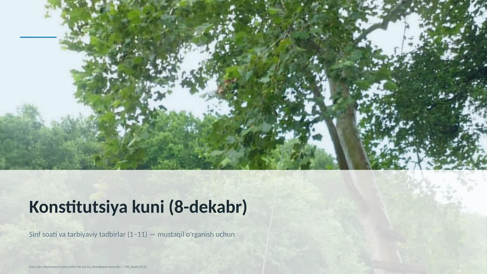 Dars rejasi