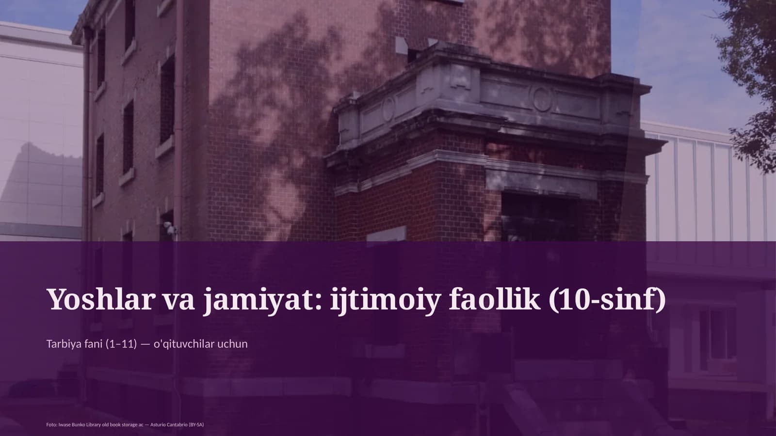 Yoshlar va jamiyat: ijtimoiy faollik (10-sinf)