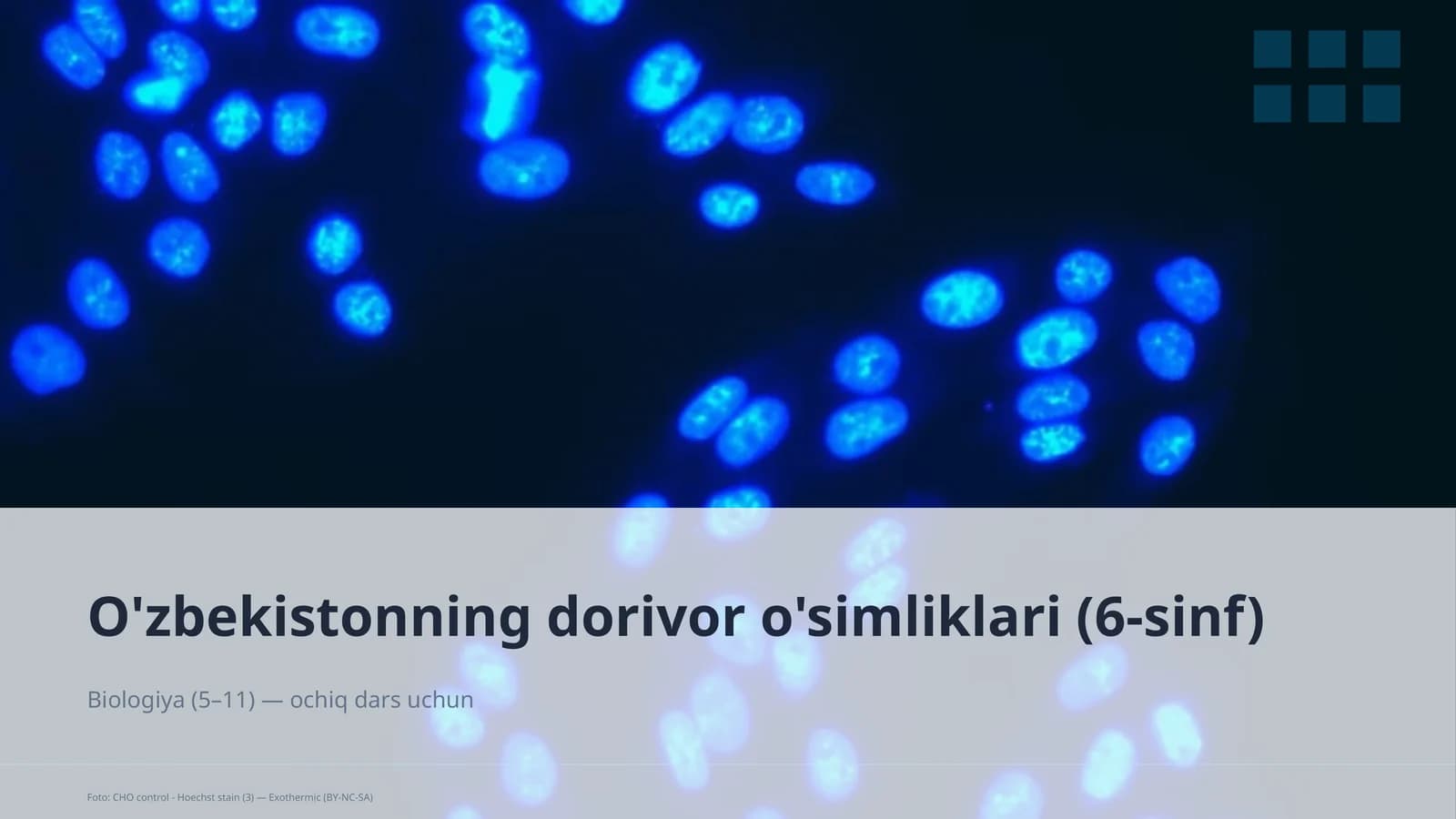 O'zbekistonning dorivor o'simliklari (6-sinf)