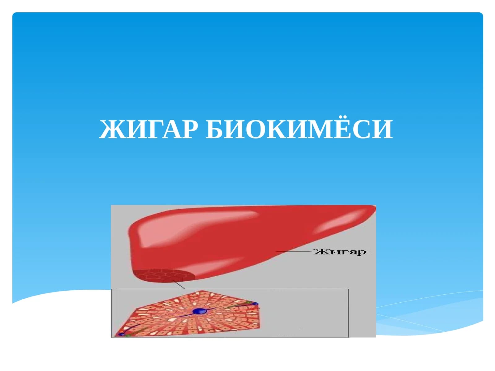 ЖИГАР БИОКИМЁСИ