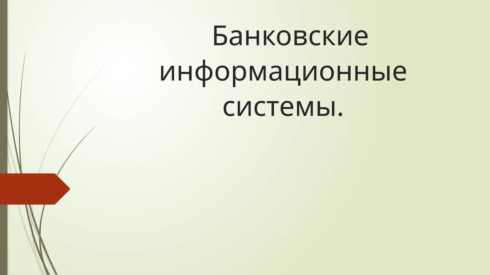 Банковские информационные системы