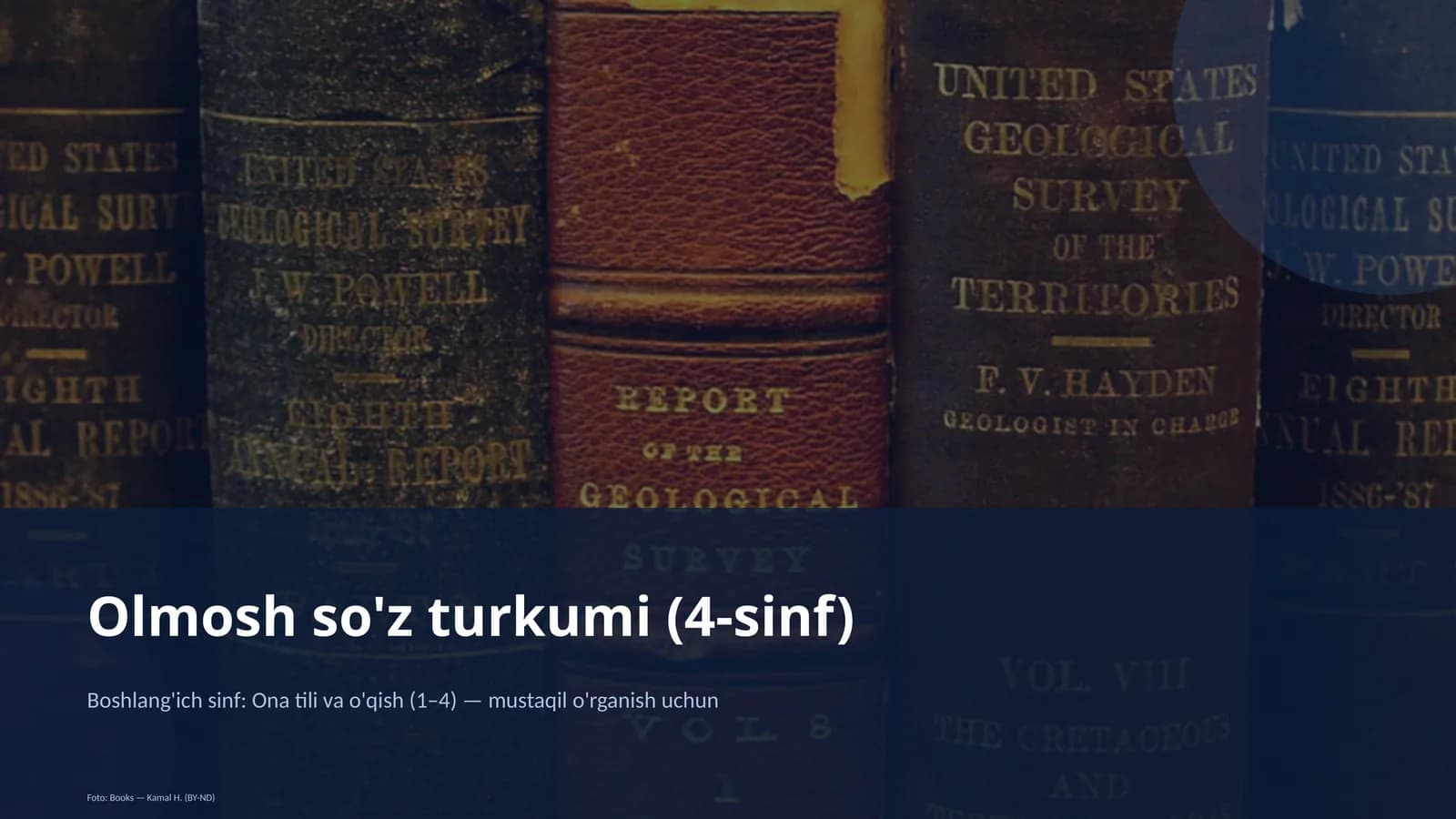 Olmosh so'z turkumi (4-sinf)