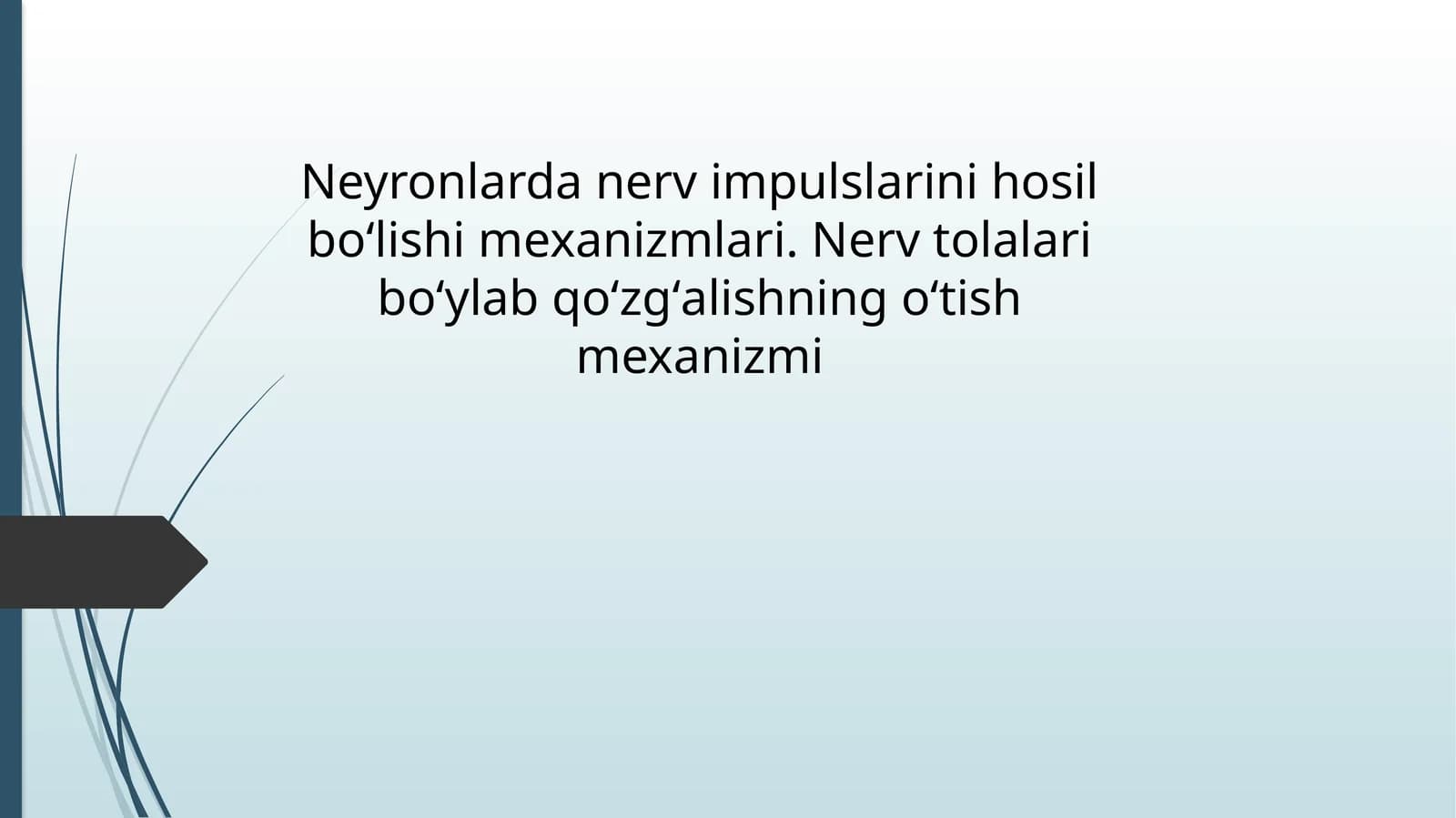 Neyronlarda_nerv_impulslarini_hosil_boʻlishi_mexanizmlari_Nerv_tolalari