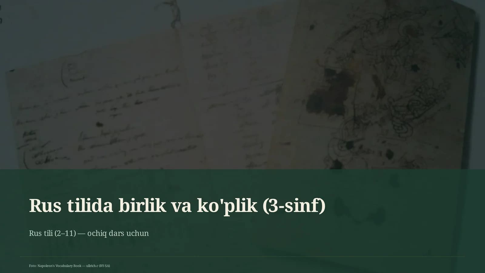 Rus tilida birlik va ko'plik (3-sinf)