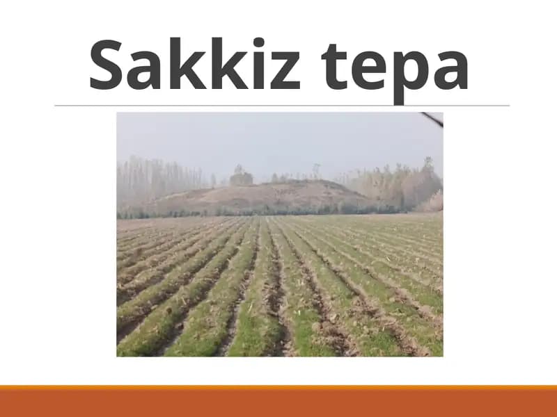 Sakkiztepa