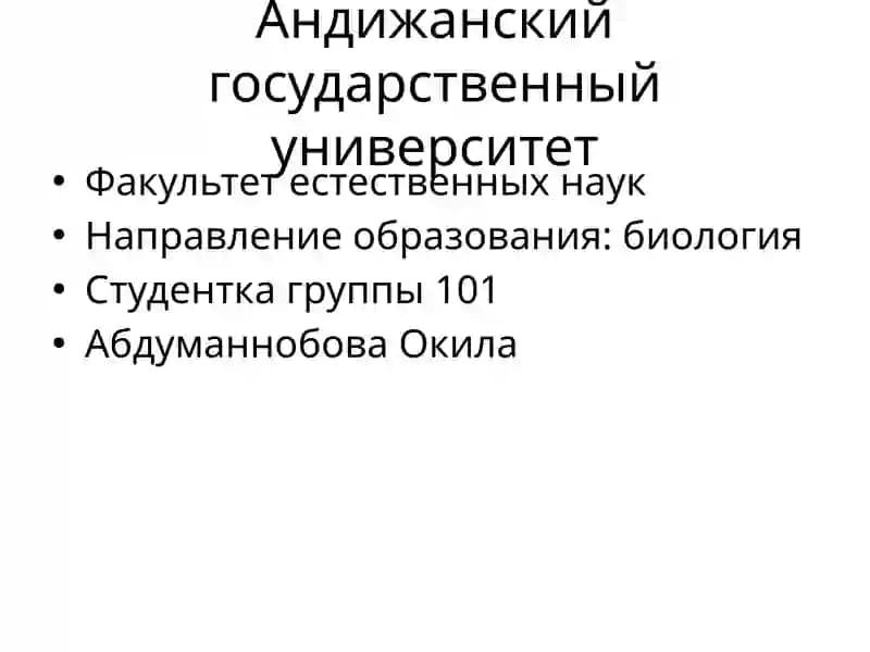 Имя существительное — определение и значение