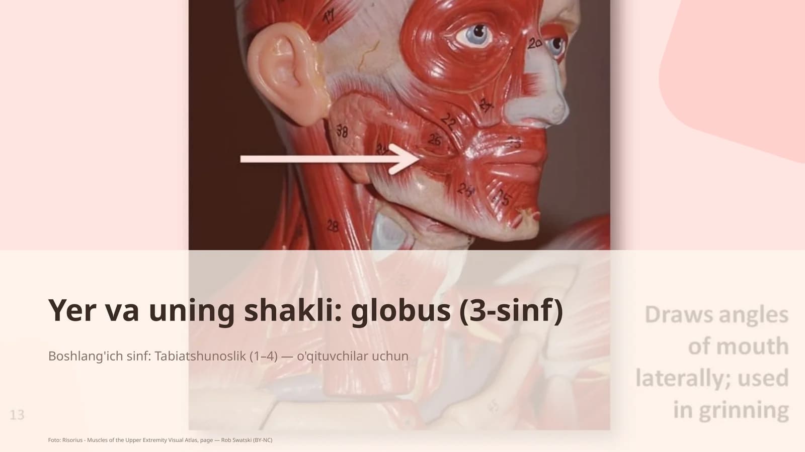 Tabiatshunoslik (1–4) — o'qituvchilar uchun