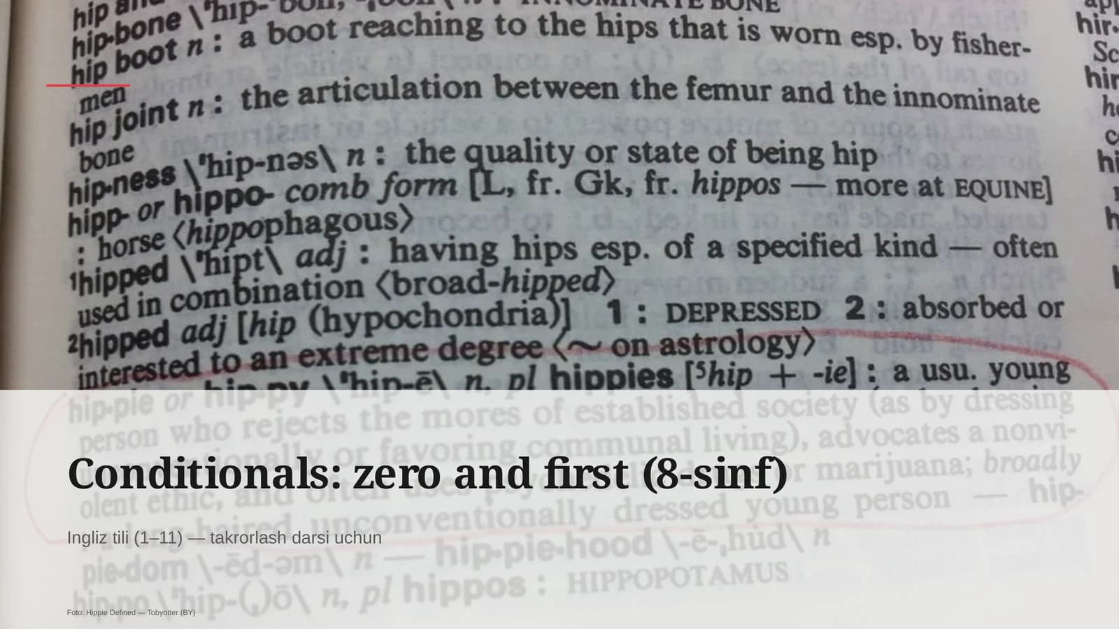 Conditionals: zero and first (8-sinf)