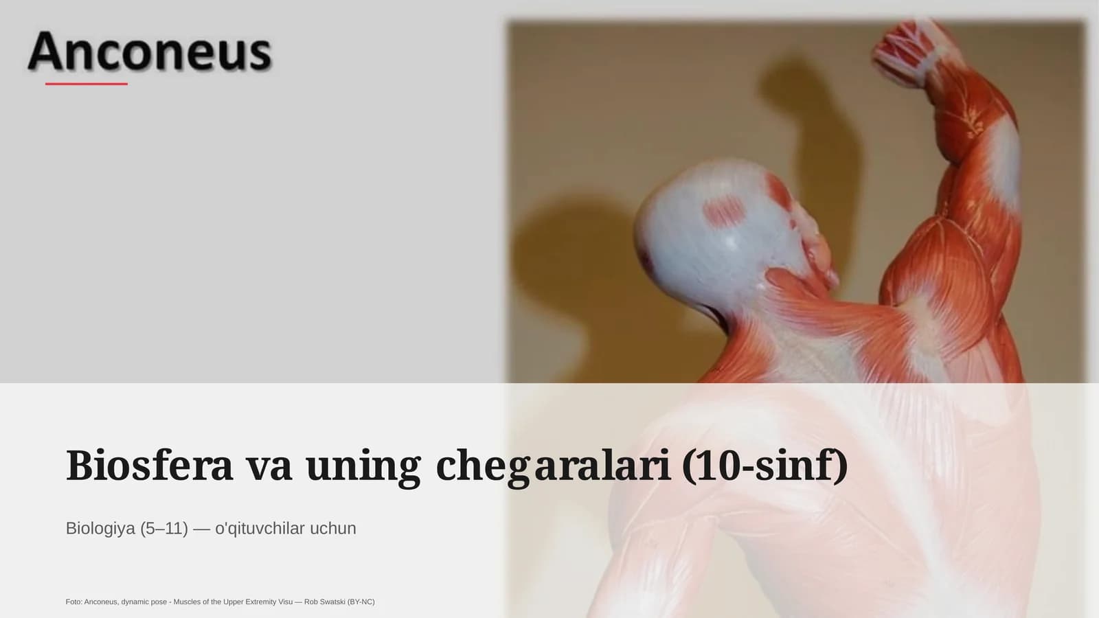 Biosfera va uning chegaralari (10-sinf)