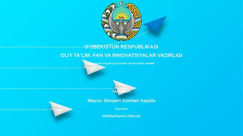 Ekspert tizimlari haqida
