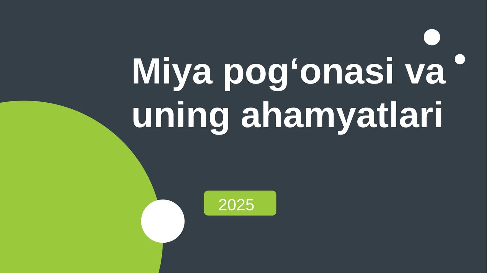 miya pogʻonasi anatomiyasi