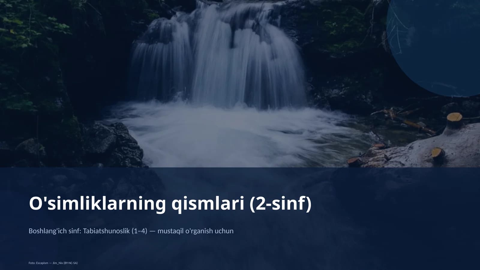 O'simliklarning qismlari (2-sinf)
