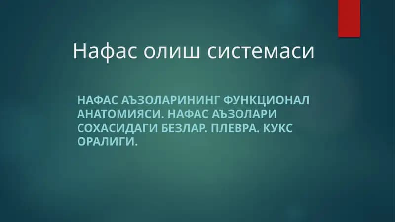 Nafas olish sistemasi anatomiyasi
