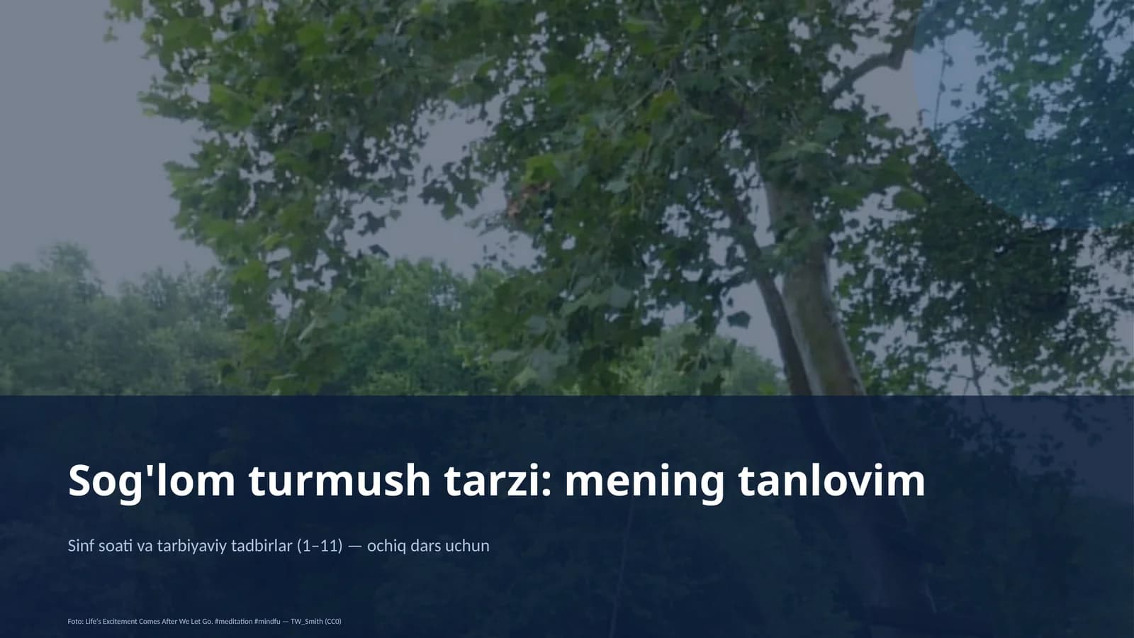 Sinf soati va tarbiyaviy tadbirlar (1–11) — ochiq dars uchun