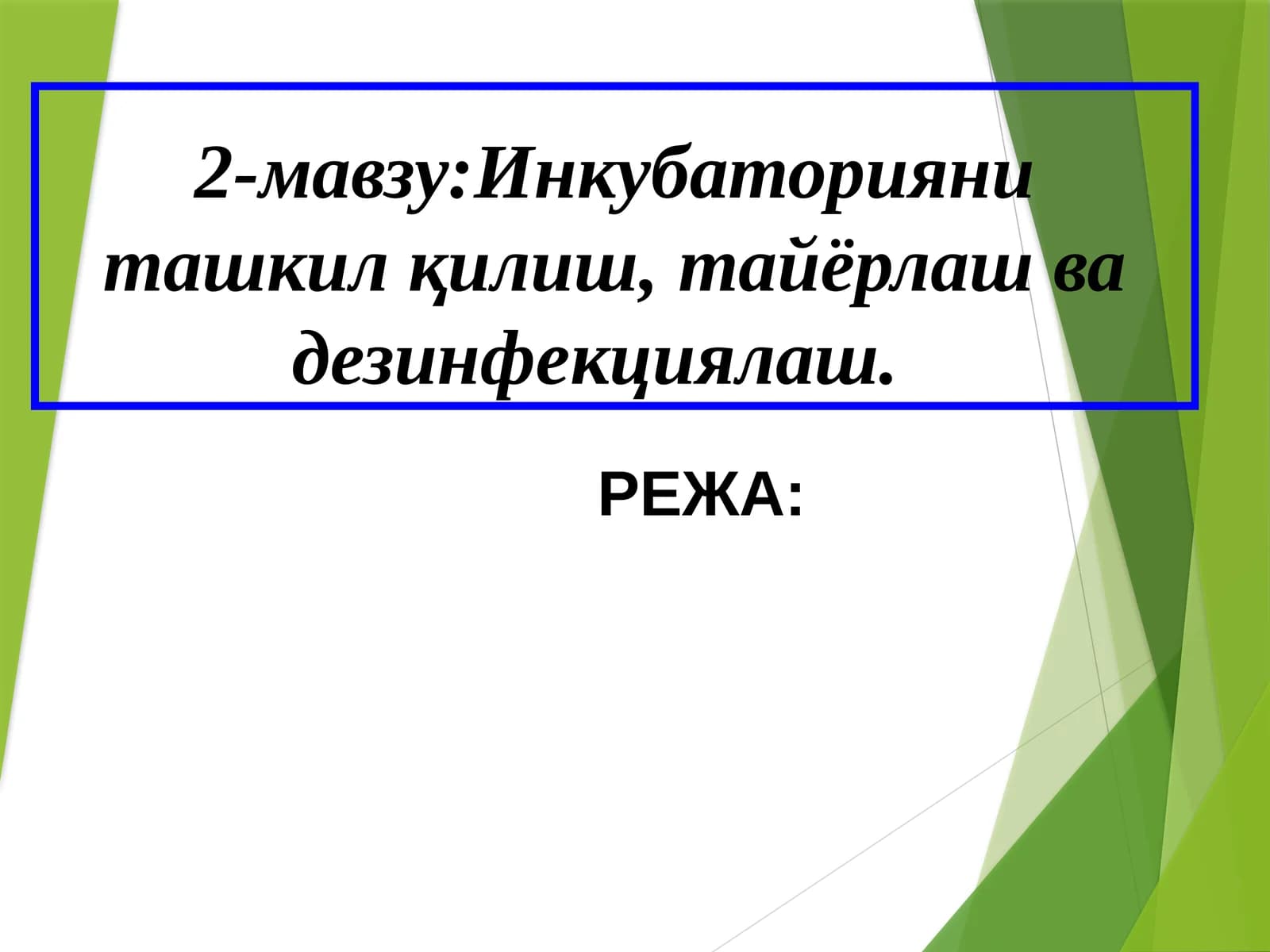 Инкубатория ишлари
