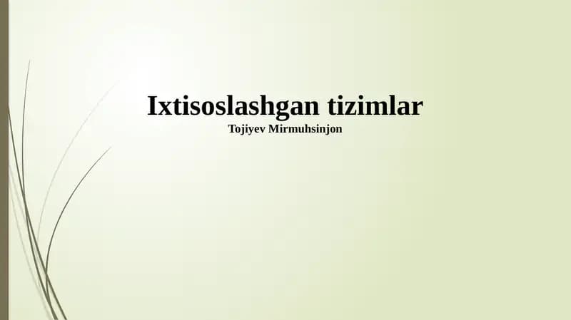 Ixtisoslashgan tizimlar
