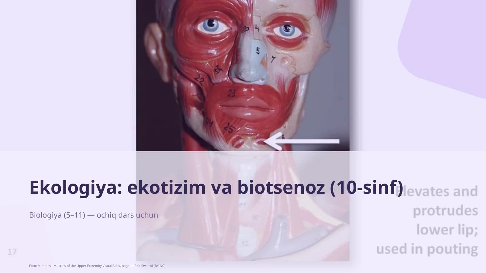 Ekologiya: ekotizim va biotsenoz (10-sinf)