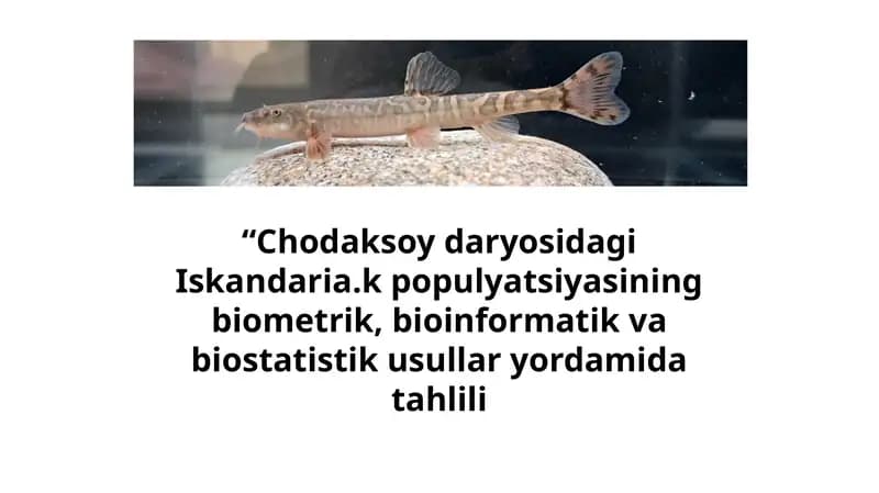 Iskandariakus chakewitschi