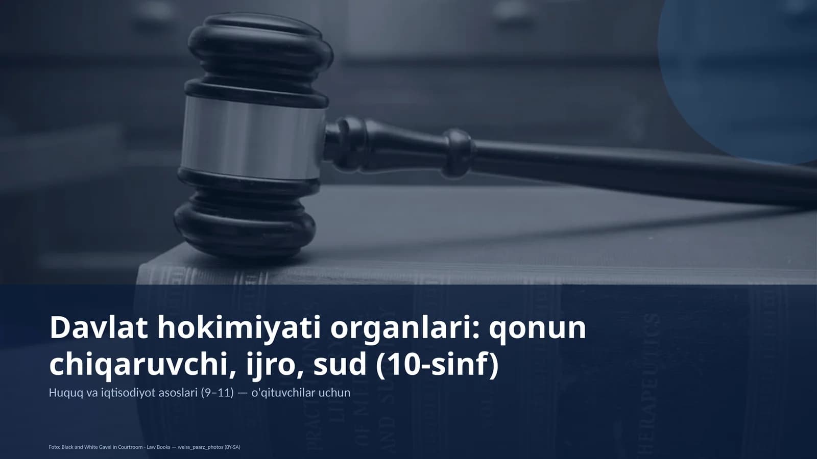 Davlat hokimiyati organlari: qonun chiqaruvchi, ijro, sud (10-sinf)